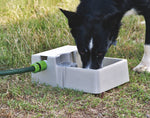 Bainbridge Automatic Pet Waterer 2Lts - Pet And Farm 