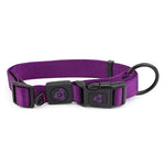 Nylon Dog Collar - Pet And Farm 