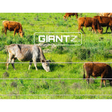 Giantz 2000M Polywire Roll Electric Fence Energiser Stainless Steel Poly Wire - Pet And Farm 