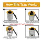 Flip N Slide Bucket Lid Mouse Trap Automatic - Pet And Farm 