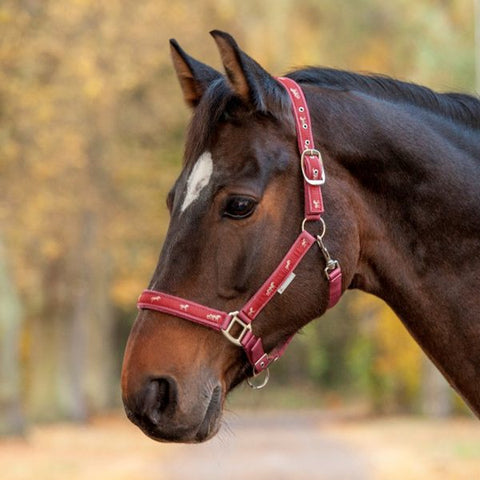 Esperia Little Horses Halter - BERRY - Pet And Farm 