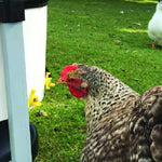 Horizontal Poultry Nipple - Pet And Farm 