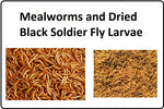 Australian Dried Black Soldier Fly Larvae - Pet And Farm 