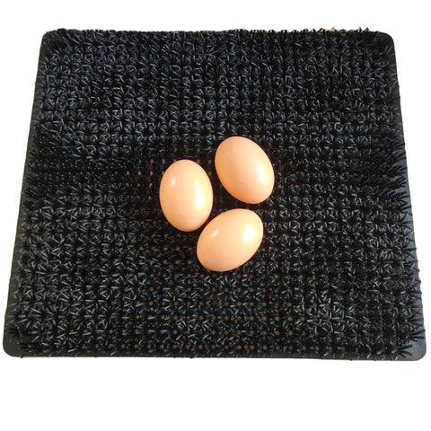 Cheeky Chooka Nesting Box Egg Mat - Pet And Farm 