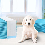 400pcs Puppy Dog Pet Training Pads Cat Toilet 60 x 60cm Super Absorbent Indoor Disposable - Pet And Farm 