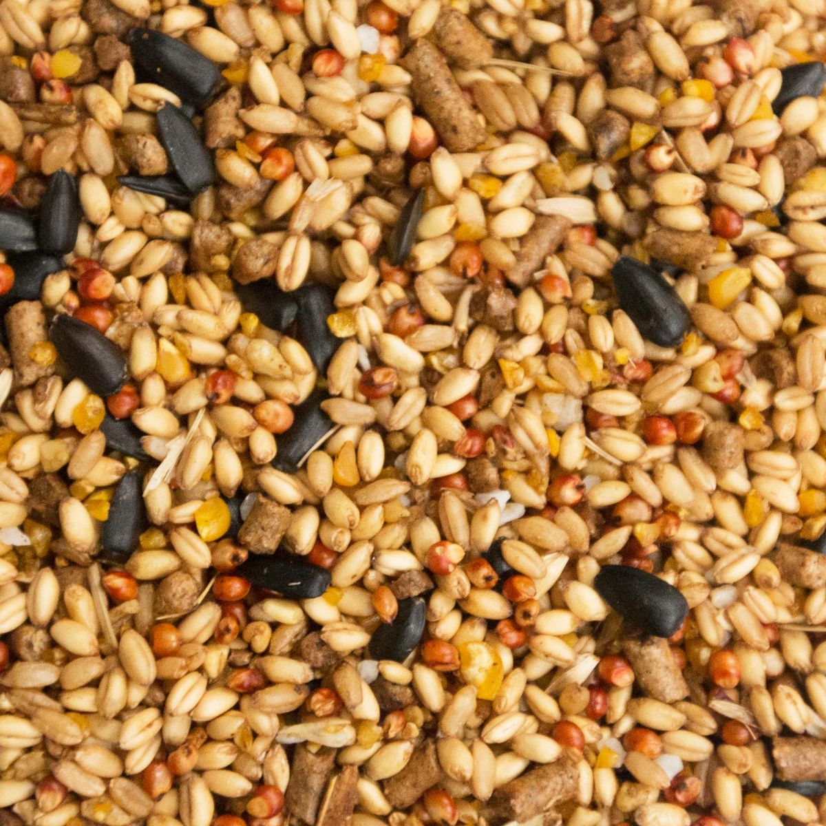 Poultry Grain Scratch Mix – Pet And Farm