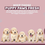 PS KOREA Pink Dog Pet Potty Tray Training Toilet Raised Walls T1 - Pet And Farm 