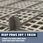 PS KOREA Blue Dog Pet Potty Tray Training Toilet Detachable Wall T2 - Pet And Farm 