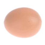 Cheeky Chooka Plastic Dummy Eggs 5pk - Pet And Farm 