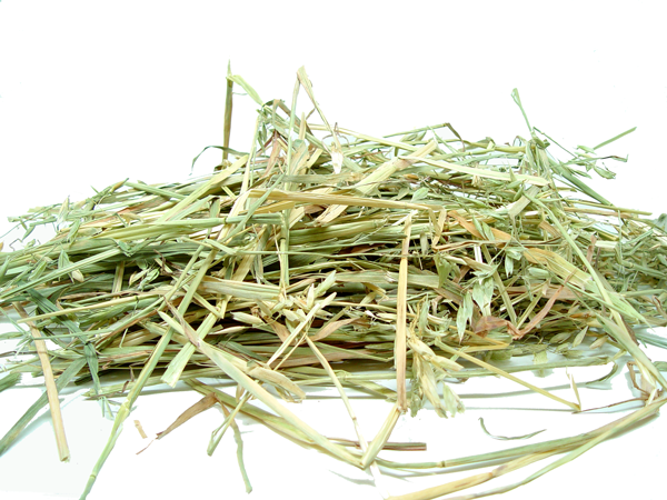 Oaten Pet Hay – Pet And Farm