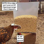 Cheecky Chooka DIY Poultry Feeder Port Back Screw Kit - Pet And Farm 
