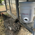 Cheecky Chooka DIY Poultry Feeder Port Back Screw Kit - Pet And Farm 