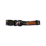 Outer Space Dog Collar - Pet And Farm 